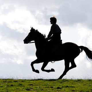 War Horse Picture 1