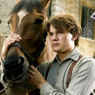 War Horse Picture 6