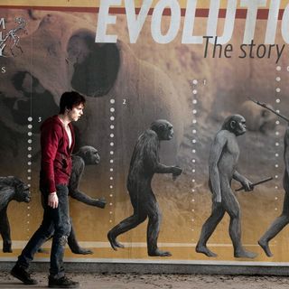 Warm Bodies Picture 14