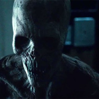 Warm Bodies Picture 13