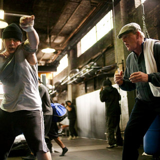 Warrior Picture 5