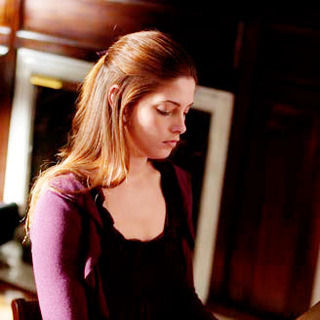 Warrior's Heart, A Picture 24