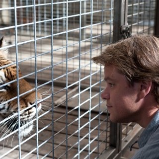 We Bought A Zoo Picture 2