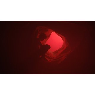 We Are the Flesh (2017)