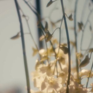 Wedding Flowers Picture 1