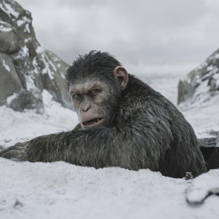 War For The Planet Of The Apes Picture 17