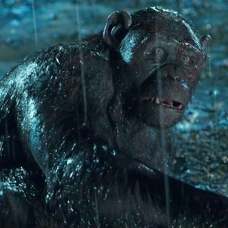 War for the Planet of the Apes Picture 19