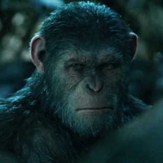 War For The Planet Of The Apes Picture 22