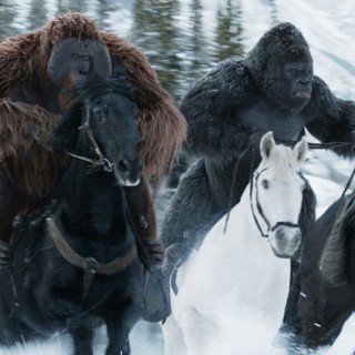 War For The Planet Of The Apes Picture 23