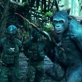 War For The Planet Of The Apes Picture 26