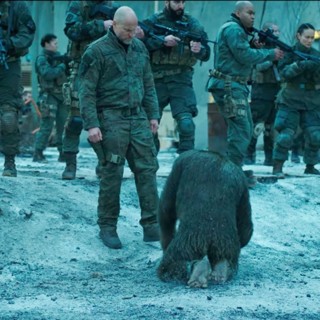 War For The Planet Of The Apes Picture 27