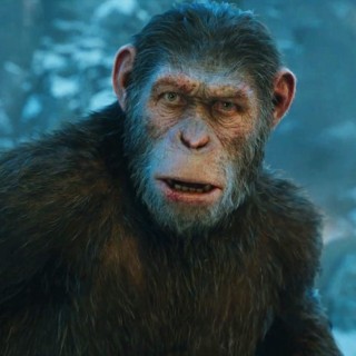 War For The Planet Of The Apes Picture 28