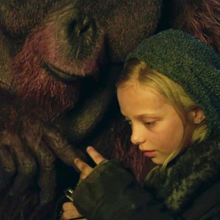 War For The Planet Of The Apes Picture 30