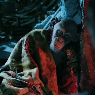 War For The Planet Of The Apes Picture 31