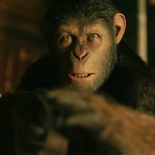 Caesar and Maurice from 20th Century Fox's War for the Planet of the Apes (2017)
