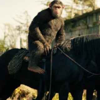 War For The Planet Of The Apes Picture 35