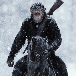 War for the Planet of the Apes Picture 1