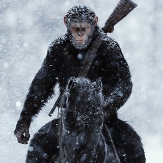 War For The Planet Of The Apes Picture 1