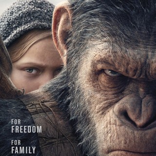 War For The Planet Of The Apes Picture 2