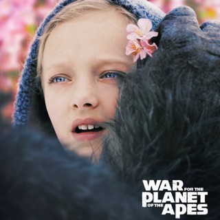 War For The Planet Of The Apes Picture 4