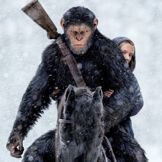 War for the Planet of the Apes Picture 6