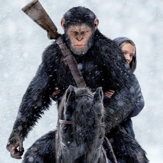 War For The Planet Of The Apes Picture 6