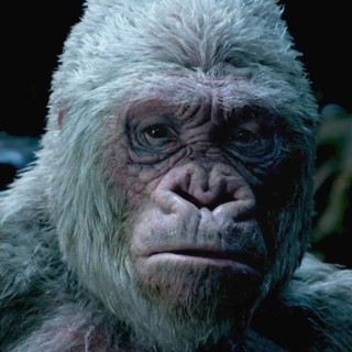 War For The Planet Of The Apes Picture 41