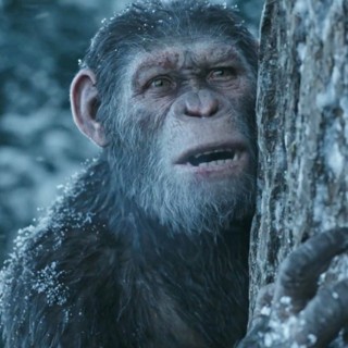 War For The Planet Of The Apes Picture 44