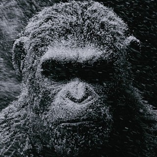 War For The Planet Of The Apes Picture 7