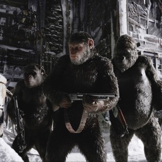 Rocket, Caesar and Luca from 20th Century Fox's War for the Planet of the Apes (2017)