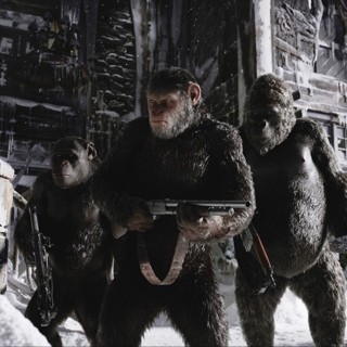 War For The Planet Of The Apes Picture 8