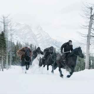 War For The Planet Of The Apes Picture 9