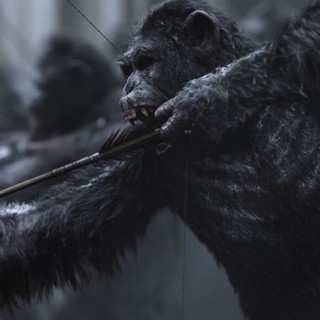 War For The Planet Of The Apes Picture 11