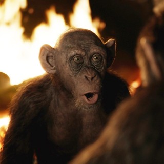 War For The Planet Of The Apes Picture 13
