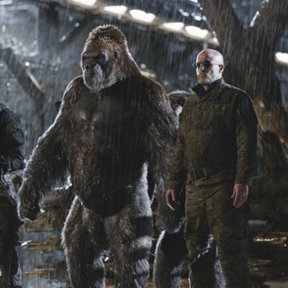 War For The Planet Of The Apes Picture 14