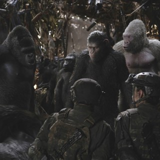 War For The Planet Of The Apes Picture 16
