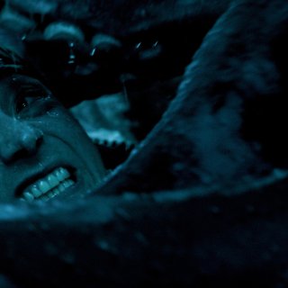 Whalefall Picture 5