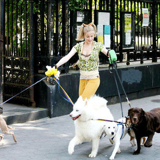 Whatever Works Picture 21