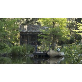 Where The Crawdads Sing Picture 9