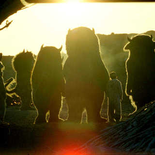 Where The Wild Things Are Picture 4