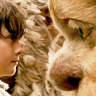 Where The Wild Things Are Picture 9