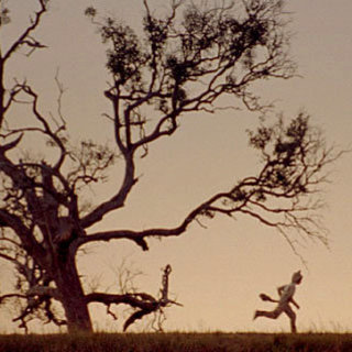 Where The Wild Things Are Picture 10