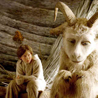 Where the Wild Things Are Picture 15