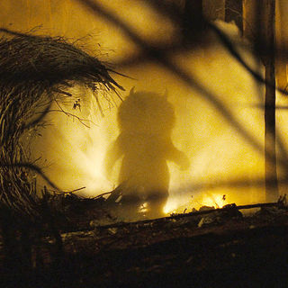 Where The Wild Things Are Picture 24