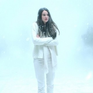White Bird In A Blizzard Picture 1