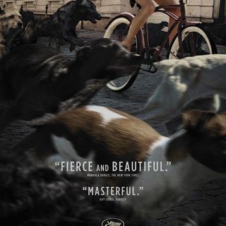 Poster of Magnolia Pictures' White God (2015)
