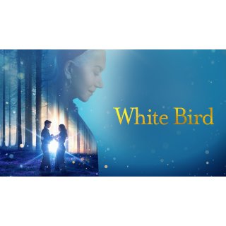 White Bird Picture 2