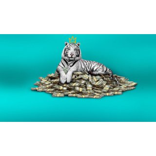 White Tiger, The Picture 9