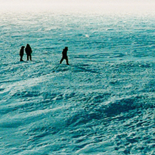 Whiteout Picture 18