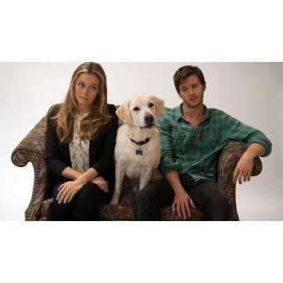 Who Gets the Dog (2016)